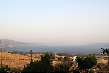 בקתות ארץ כנרת - החצר והנוף