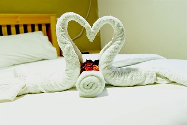 Sweet Amor - סוויט אמור - צימר C