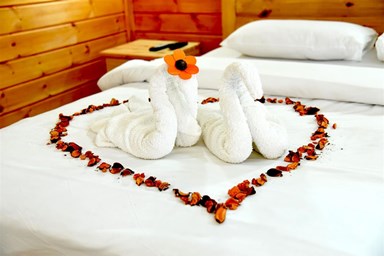 Sweet Amor - סוויט אמור - צימר D