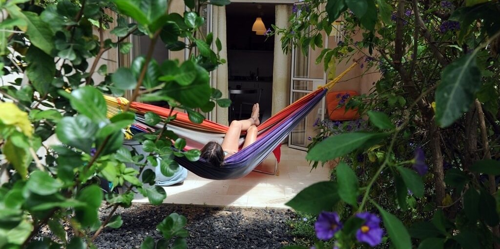 צימר אמסטרדם החצר והנוף (1).JPG