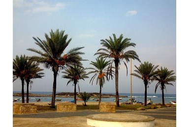 רחש הגלים - צימר ליד הים - חוף דור