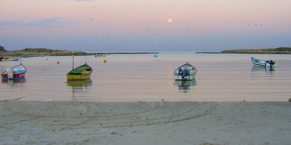 רחש הגלים חוף דור (3).JPG