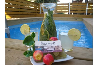 סוויטות המלך שאול - הבריכה והחצר