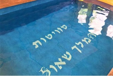 סוויטות המלך שאול