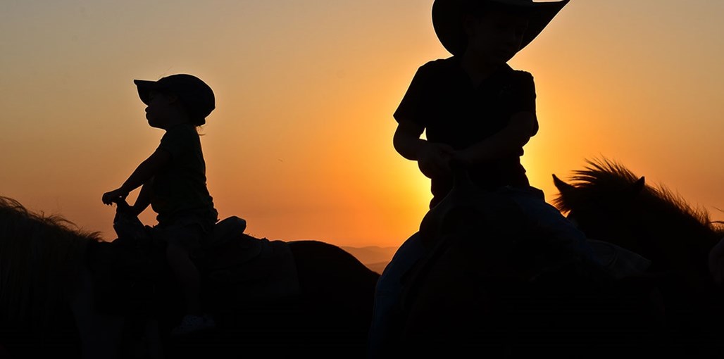 ונילה חוות סוסים (6).jpg