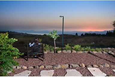 ונילה - החצר והבריכה