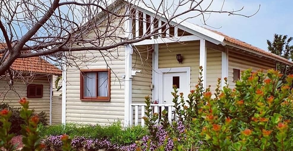 ונילה תמונות חוץ חדשות (1).jpg