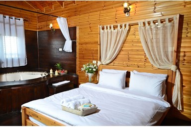 ונילה - חוות הסוסים של ונילה