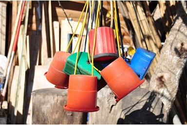 צימרונית - החצר והבריכה