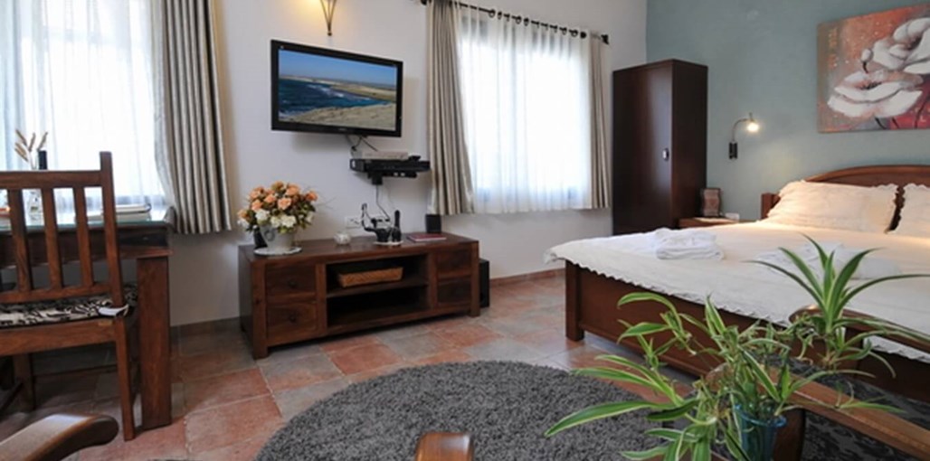 מיקי'ס אירוח הסוויטה הכחולה (6).JPG