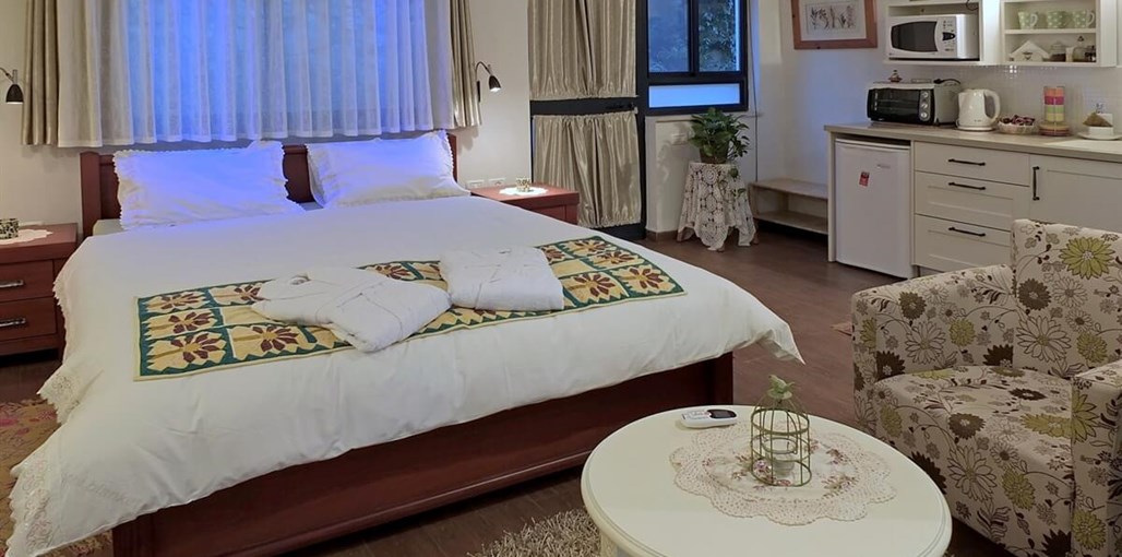 מיקי'ס אירוח הסוויטה הירוקה (7).jpg