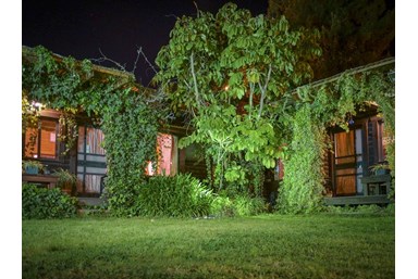 מיקי'ס אירוח - החצר והנוף