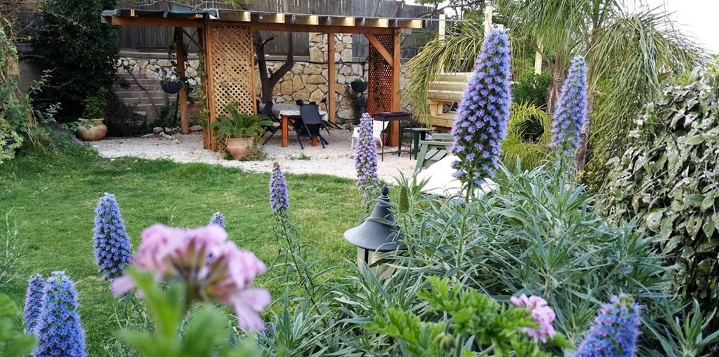 מיקי'ס אירוח חצר ונוף (17).jpg