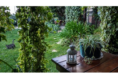 מיקי'ס אירוח - הבקתות