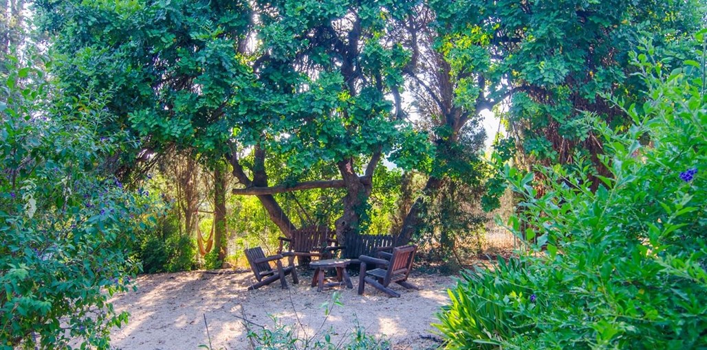 מזל של צימר DSC_6563.jpg