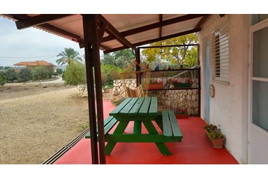 איילה בגלבוע