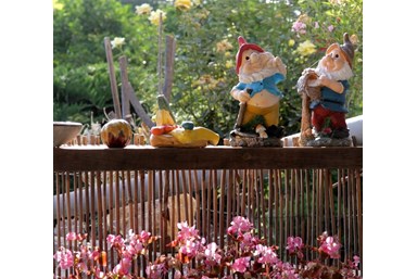 איילה בגלבוע