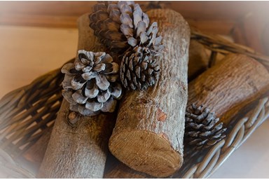 הכפר הסקנדינבי - טבע בהר