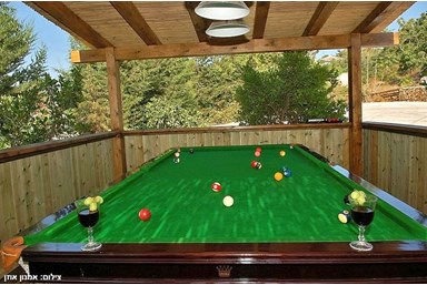 קסם התמר - החצר והבריכה