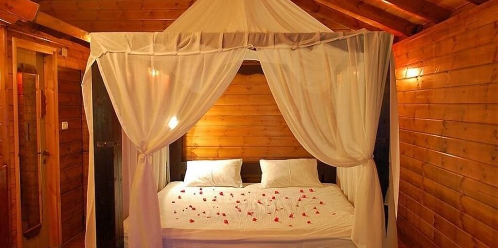 קסם התמר בקתות (4).jpg