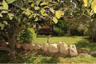 הצימר של צימוקי - חצר המתחם