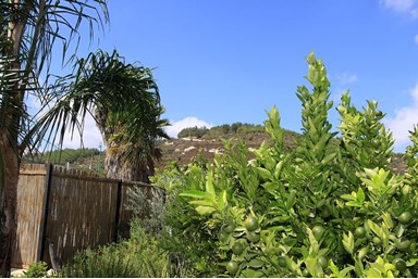 הצימר של צימוקי - חצר המתחם