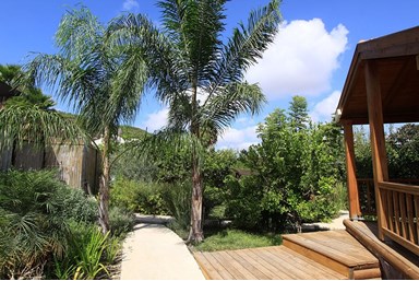 הצימר של צימוקי - הבריכה והספא