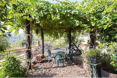 טוסקנה ביהודה - החצר והסביבה 