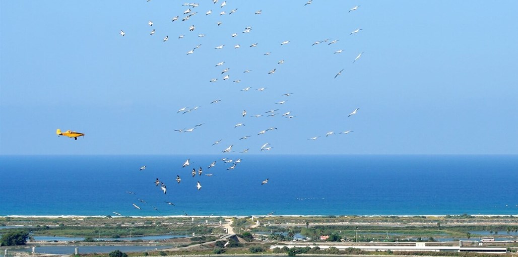 ימה צימר וספא דף הבית 17.jpg