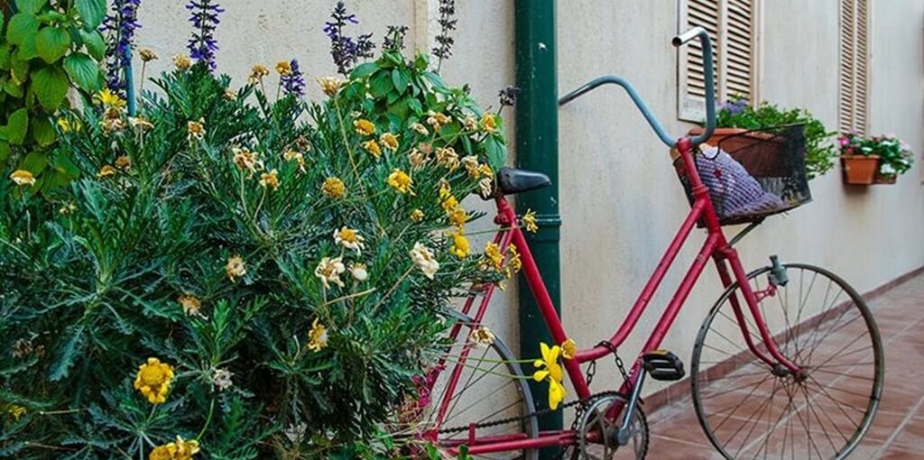 צימר ברוניתא המסעדה (6).jpg