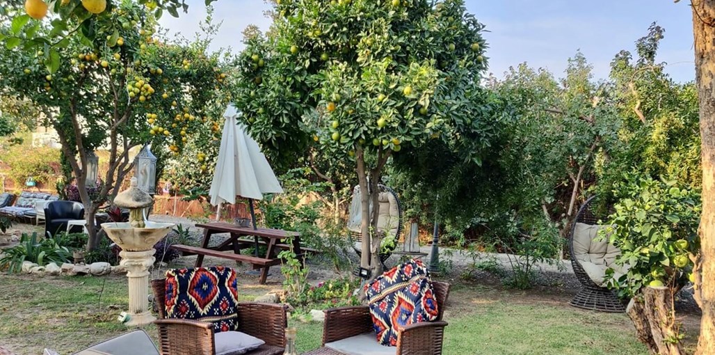 באופק הים חצר חדש (18).jpeg