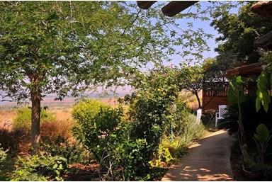 קסם על ים כנרת - בסביבה 