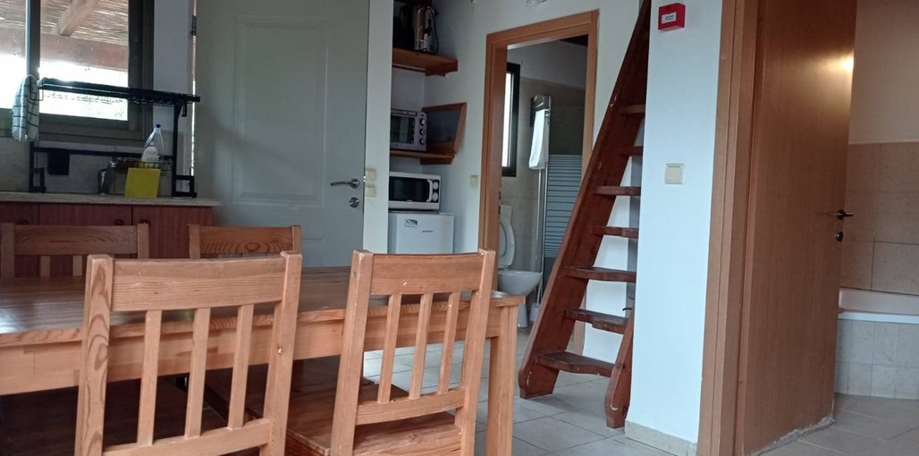 חוויה במצוק תאנה ורימון (12).jpg