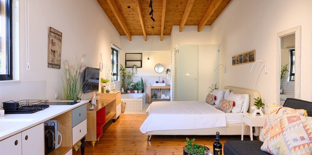 חלום בדור סוויטת אלמוג (4).jpg