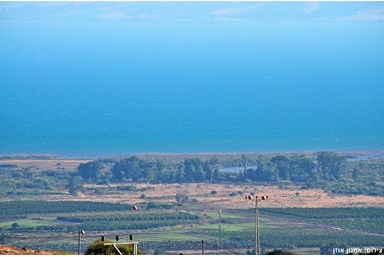 פרדייז ריזורט