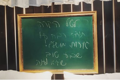 ונילה גריי - 