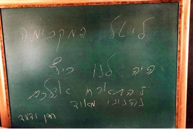 ונילה גריי - 