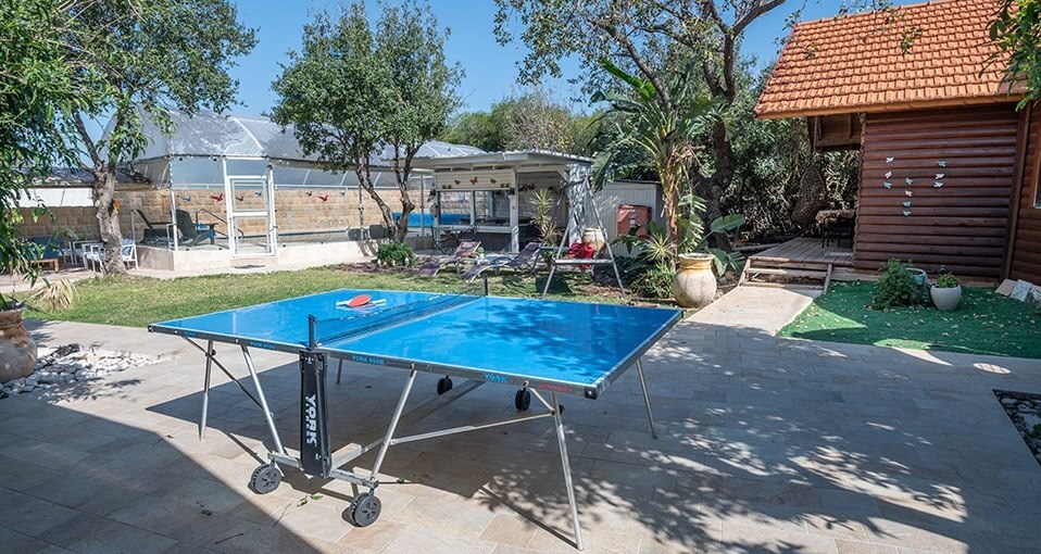 הבקתה של איה חצר (8).jpg