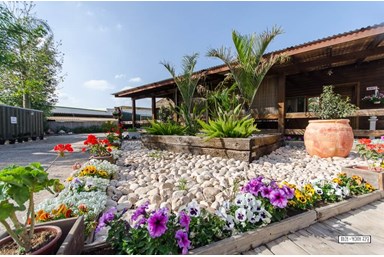 דבש לאוהבים - סוויטת נועה