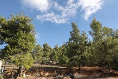 צימר באהבה בירושלים - הנוף והסביבה