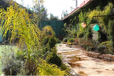 צימר באהבה בירושלים - הנוף והסביבה
