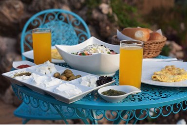 ריפוסו גדרה - החצר והסביבה