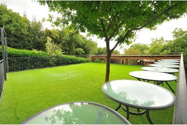 שילובים בטבע