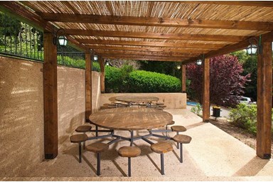 שילובים בטבע - הבריכה