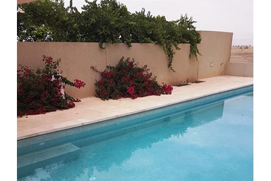 דזרט בי - DesertB - הסטודיו