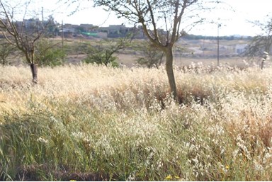 דזרט בי - DesertB - הסטודיו