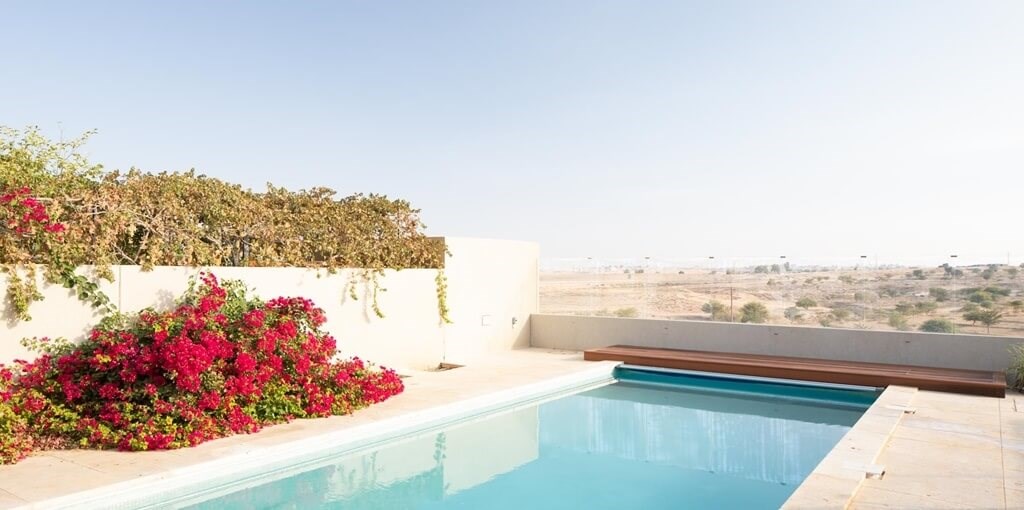 דזרט בי - DesertB חדשות (12).jpg