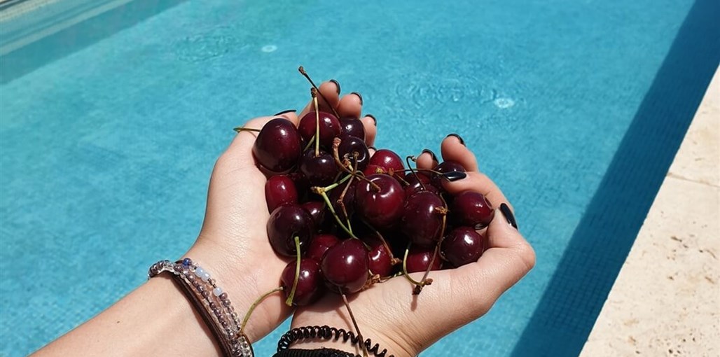 דזרט בי - DesertB סוויטה (11).jpg