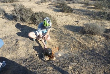 צימר זמן מדבר - טיולי אופניים