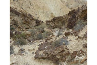 צימר זמן מדבר - סיורי מדבר